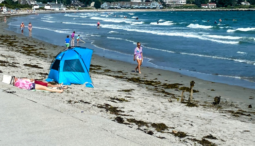 Blue shelter on Maine beach