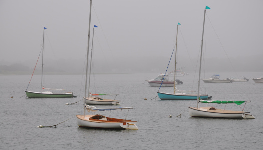 Cape Cod Sailboats