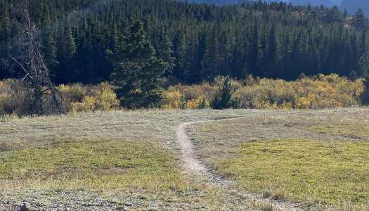 path toward a mountain