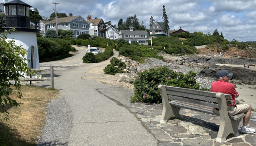 Bench in Maine