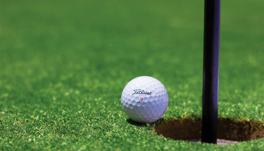 White Titleist golf ball by golf hole