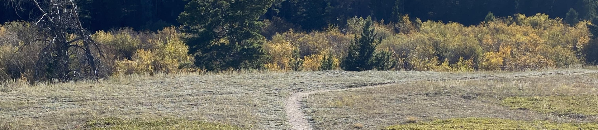 path toward a mountain
