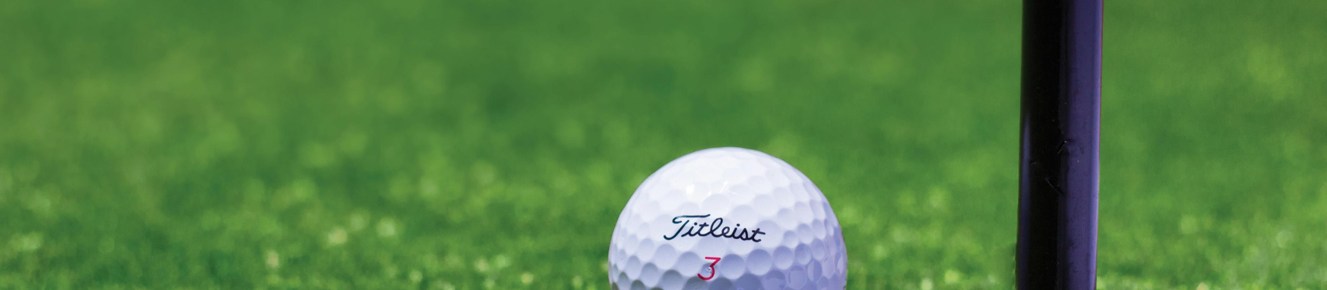 White Titleist golf ball by golf hole