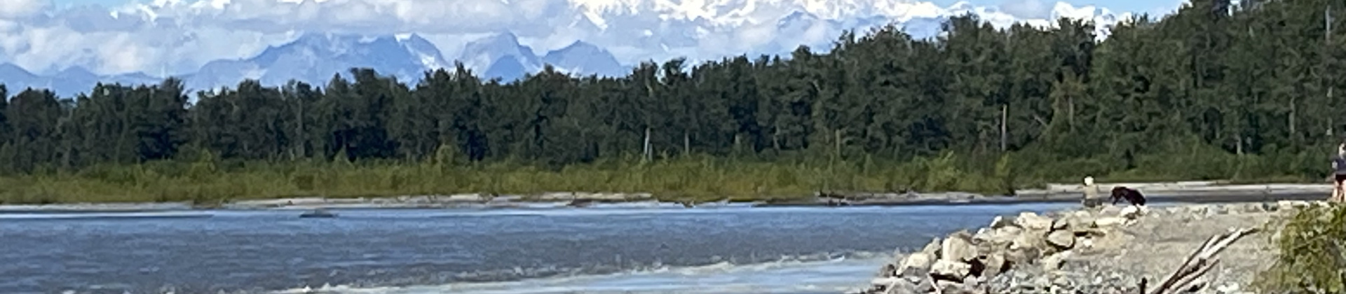 Mt. McKinley